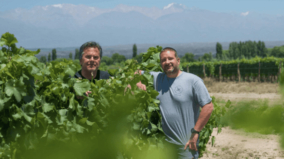 Vinhos italianos na Argentina