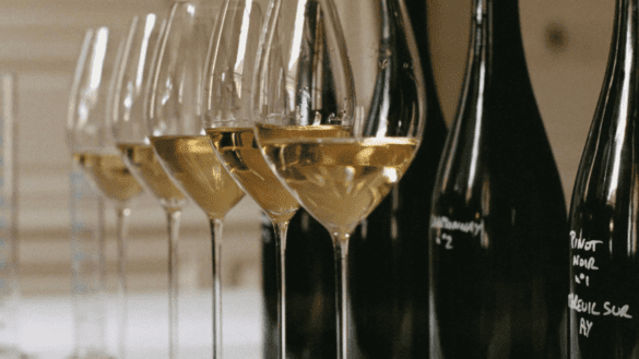 Harmonização com Champagne