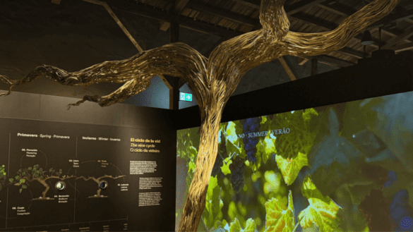 Viña Concha y Toro Centro del Vino