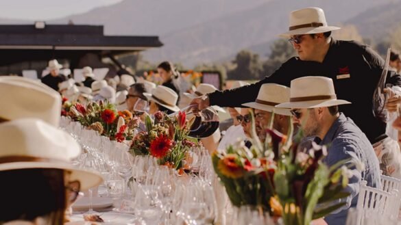 Vik Wine realiza vindima no Brasil